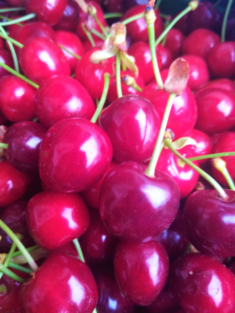 I will sell cherries, my own collections, torn out, for orders