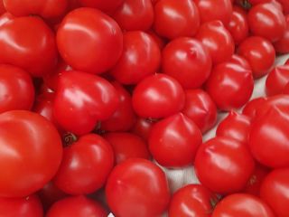 I'm selling fresh tomatoes
