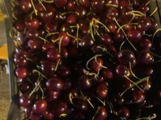 I have for sale Greek cherries 26+ caliber, deliveries