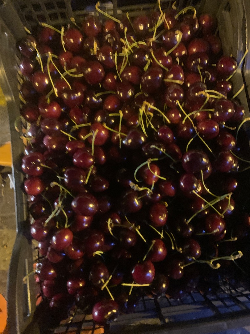 I have for sale Greek cherries 26+ caliber, deliveries from Greece are everyday, they are packed in cardboard, plastic and wooden boxes