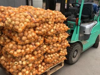We sell young onions - imported from Uzbekistan. Caliber