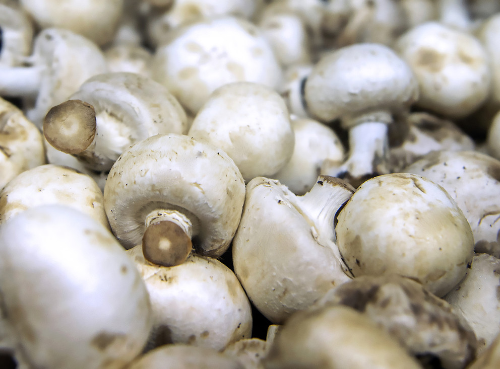 we have mushrooms for sale Caliber :55+ please contact directly, call: email: wechat:omarkjerry0