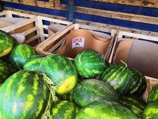 I will sell watermelons from Greece. Celine and Florini