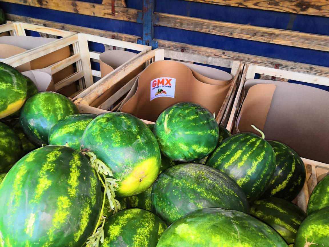 I will sell watermelons from Greece