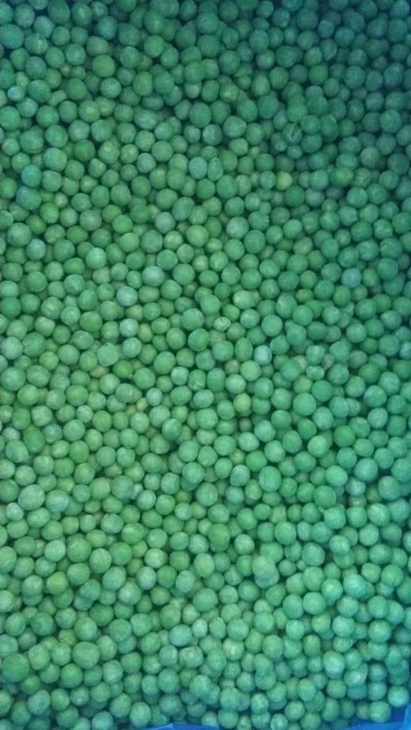Sprzedajemy groszek pierwszej klasy z Egiptu w różnych ilościach w opakowaniu 10 kg, pojemność pojemnika 25 ton na pojemnik 40 stóp