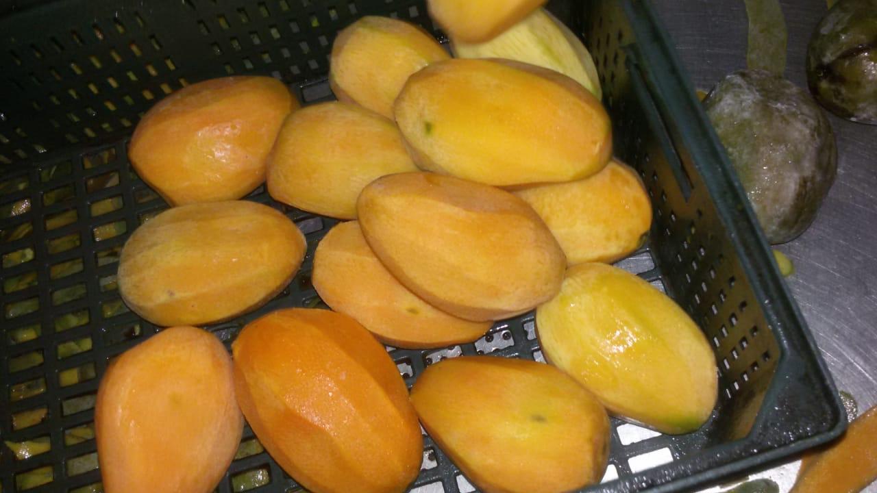 Sprzedajemy najwyższej jakości mango z Egiptu w różnych ilościach w opakowaniu 10 kg, pojemność pojemnika 25 ton na pojemnik 40 stóp