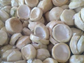 We are selling first class artichoke from Egypt with