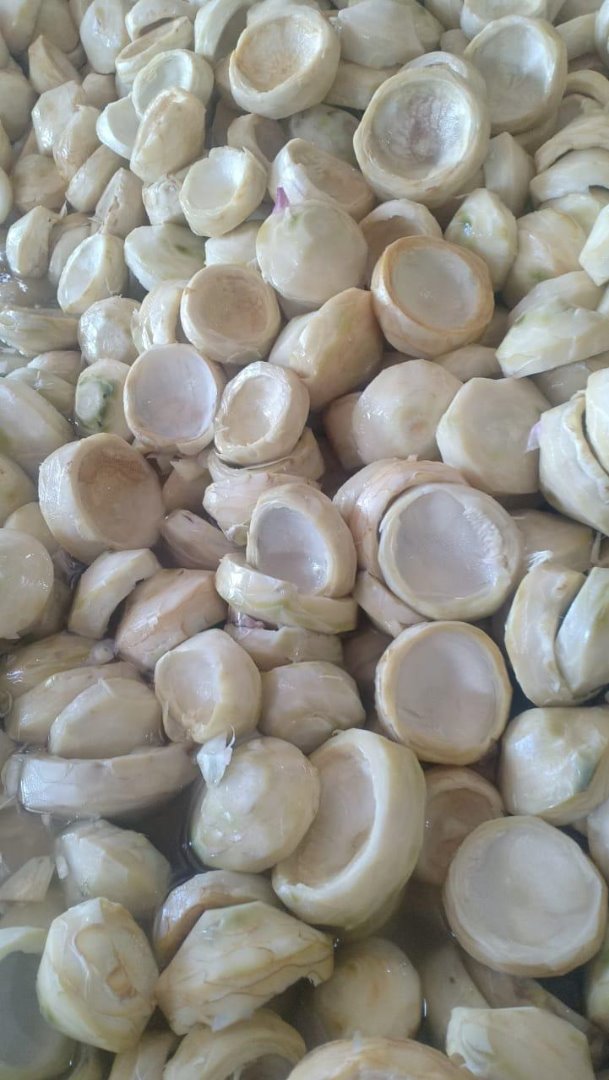 We are selling first class artichoke from Egypt with various quantities in different packaging in 40 feet Container of 25 tons capacity each
