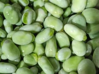 We are selling first class broad beans from Egypt