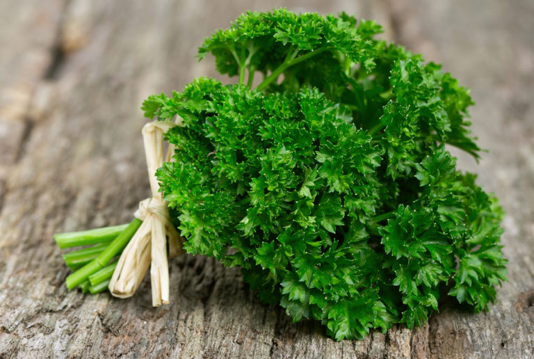 Product type: Single Herbs and Spices Style: Dried Case law: ISO Color: Green Place of origin: Egypt Weight (kg): 20 Shelf life: 2 years Trade name: