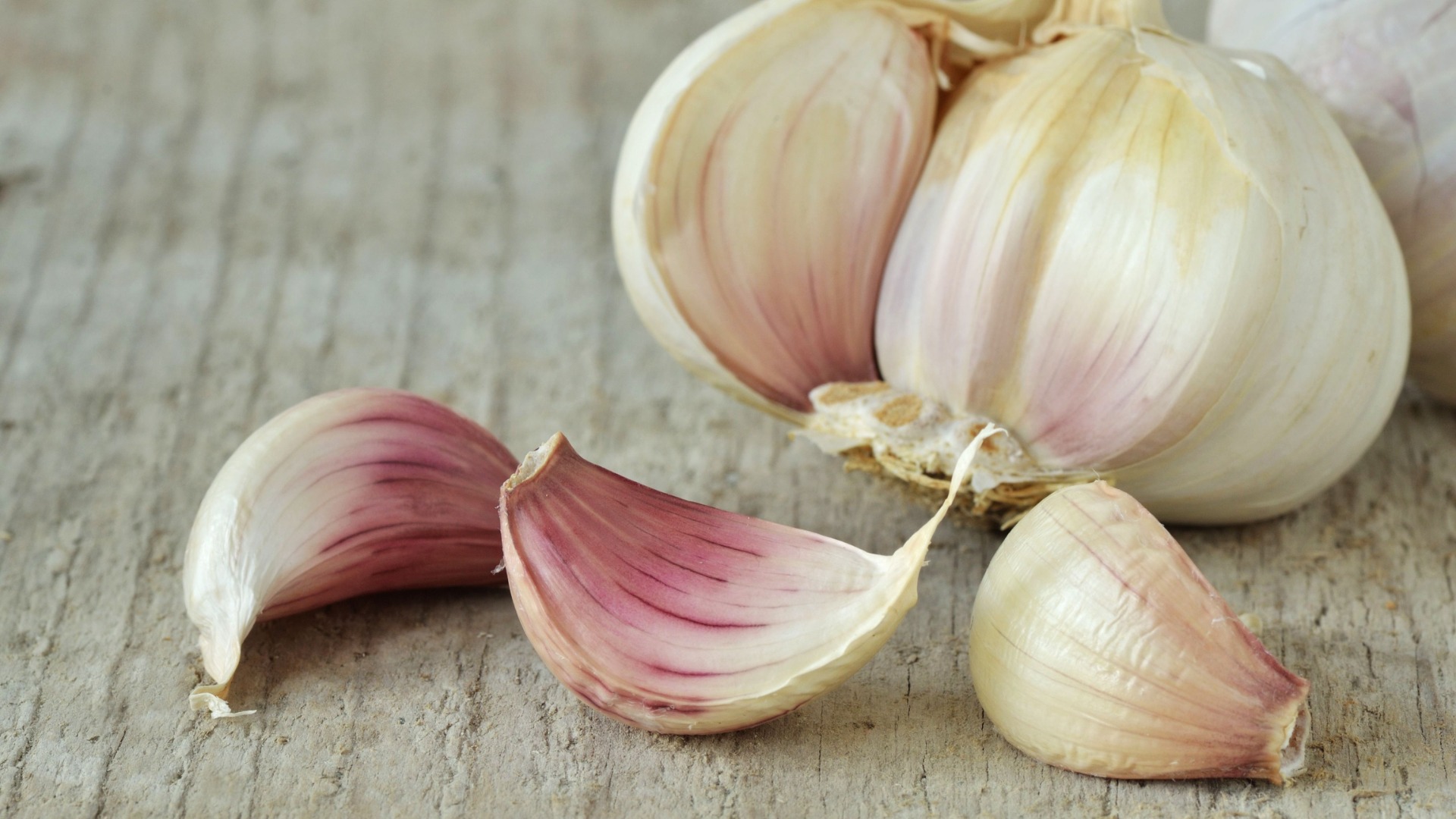 Best price of fresh natural garlic - New crop, hot sale Packing in 10 kg / carton, 10 kg bag / mesh, 20 kg bag / mesh or meeting customer requirements