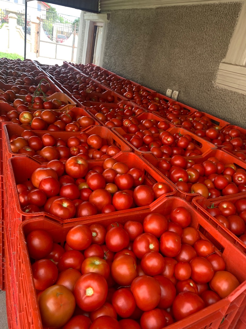 I sell tomatoes wholesale