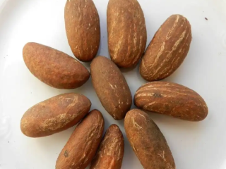 Bitter kola is an edible seed, which belongs to