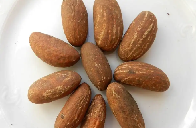 Bitter kola is an edible seed, which belongs to a unique group of plants that help organisms to adapt to stress by influencing multiple regulatory systems