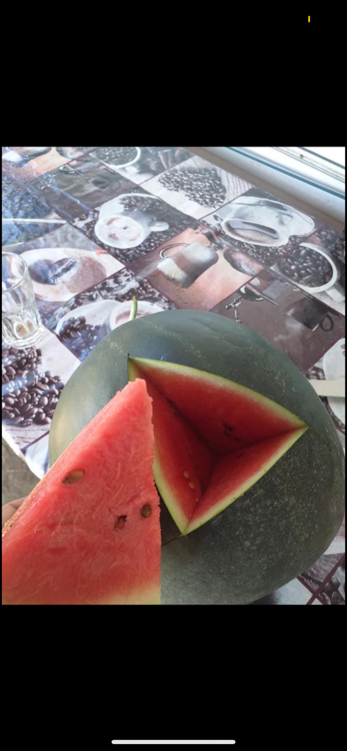 It is sold in large and small quantities watermelons origin DĂBULENI at very good prices, it can be delivered all over the country For more details do not