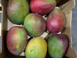 MANGO for sale retail / wholesale. Possible delivery quantity