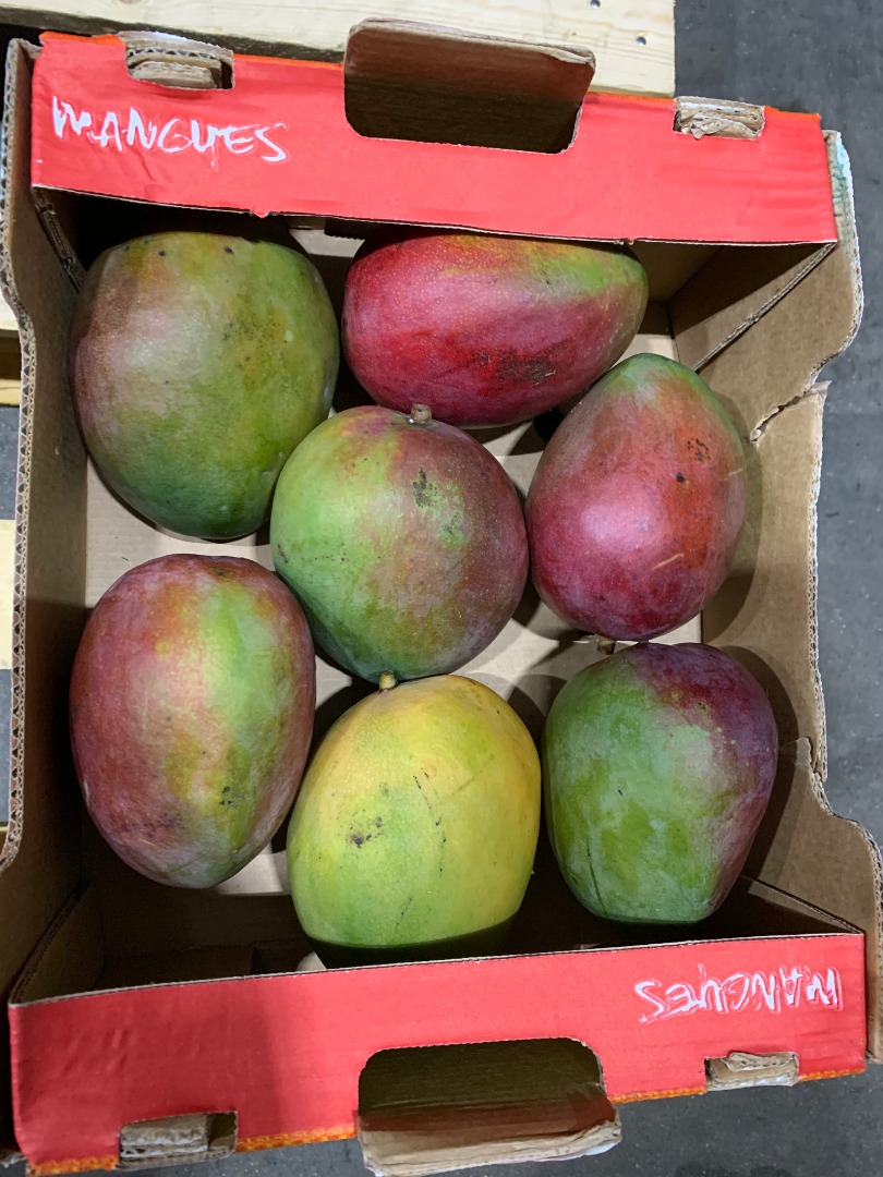 MANGO for sale retail / wholesale