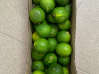 Lime for sale retail / wholesale. Possible delivery quantity