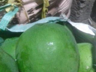 I want to selling fresh papaya from INDIA. contact