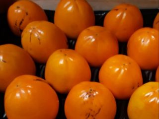Spanish producer sells ORANGES, TANGERINES, WATERMELONS, EARLY POTATOES, VEGETABLES,