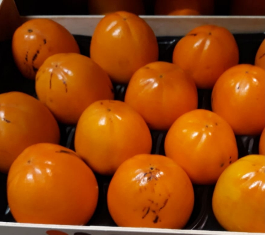 Spanish producer sells ORANGES, TANGERINES, WATERMELONS, EARLY POTATOES, VEGETABLES, LEMON, PERSSIMONS, APRICOTS, PARAGUAYOS, PLATERINAS, PEACHs........