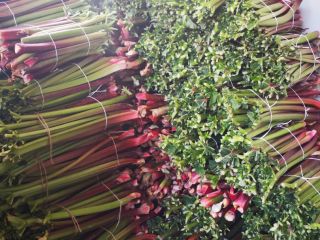 I will sell rhubarb - approx. 1.5 tonnes