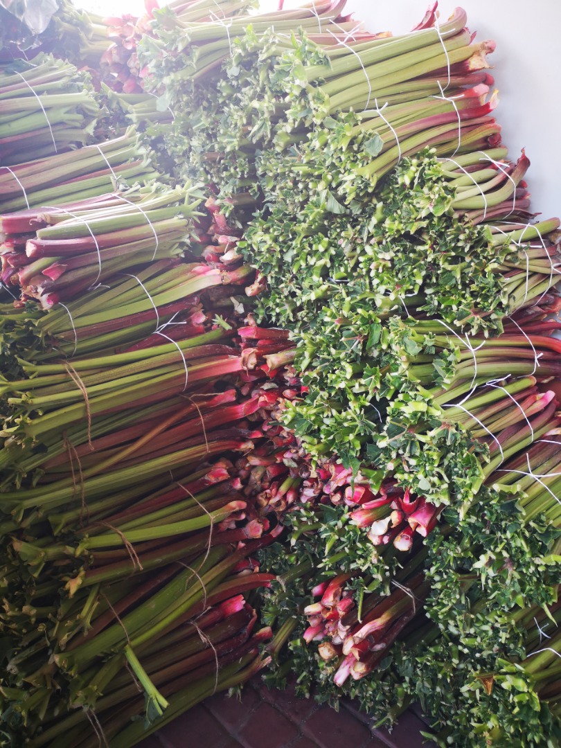 I will sell rhubarb - approx