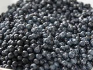 I will sell berries, negotiable with more.