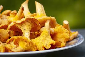 Chanterelles for sale