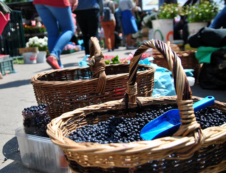 I will sell hand-picked blueberry, PLN 19 per kg