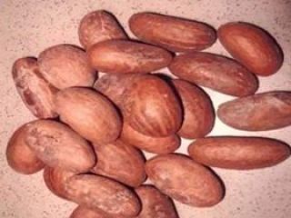 i am a seller of Bitter Kola Here are