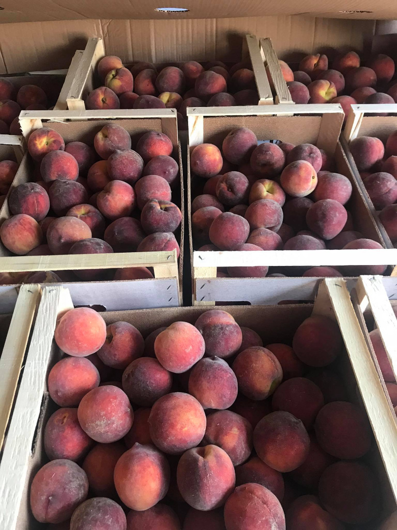 Red Heaven 67+ peaches and Big Top 67+ nectarines