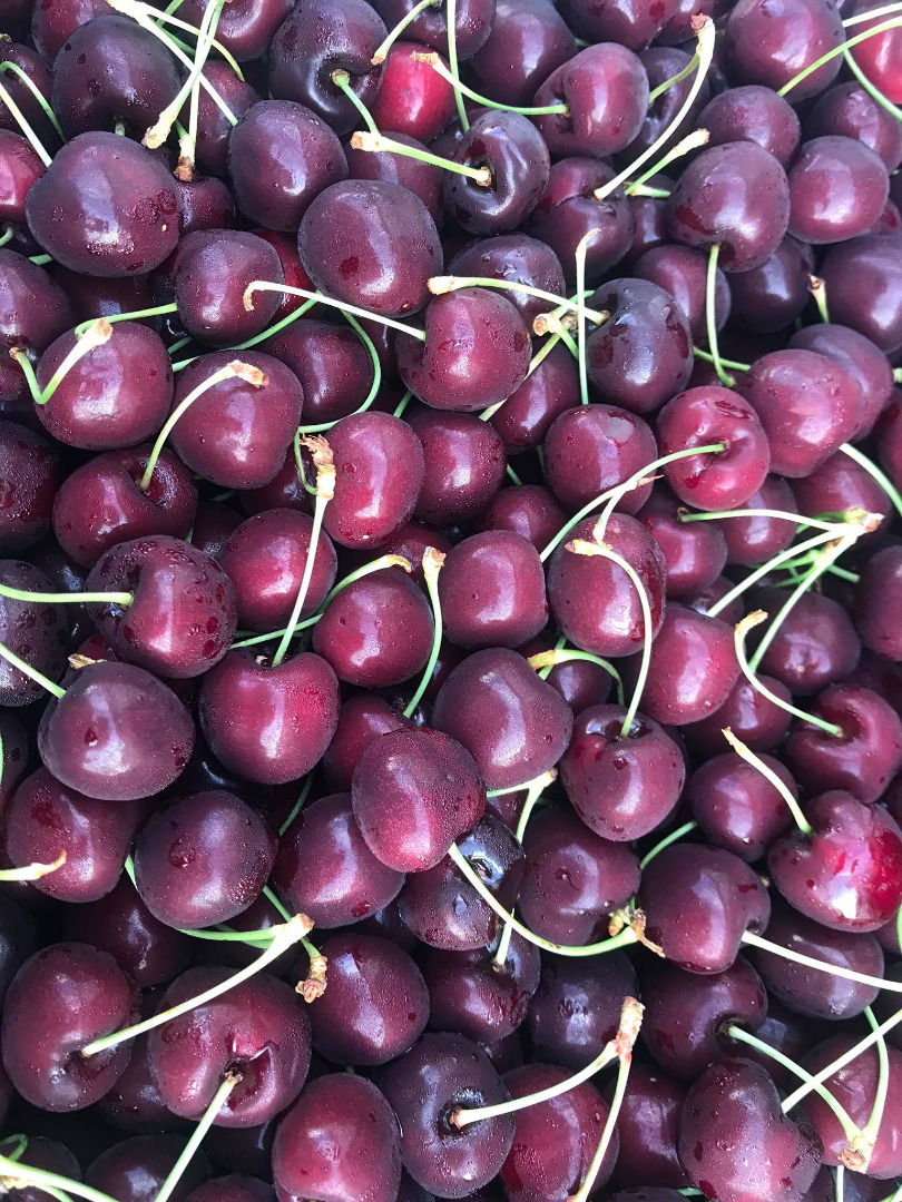 Greek cherries, Kordia