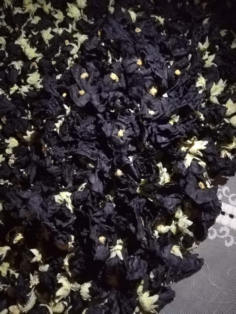 I will sell a dried black mallow flower