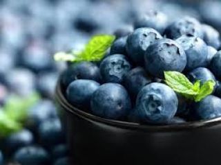 I will sell fresh forest berries.