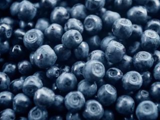 Hello. I will sell blueberry. I am looking for