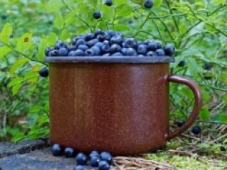 I will sell blueberry, large quantities. Price per liter