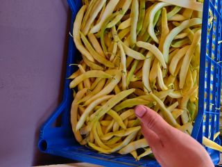 Tomatoes / quality - quality I - Green beans
