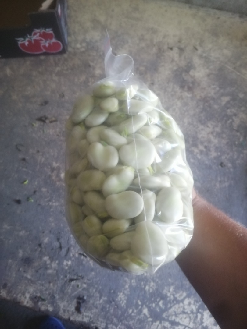 I will sell fresh beans for more information on