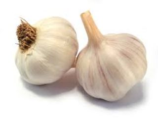 I will sell harnaś garlic and mega heads of