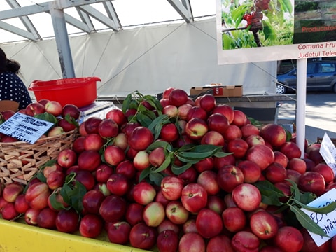 Private producer selling wonderful nectarine, unique aroma (as if you can feel it in the pictures), unusual, nothing better on the market! Delivery in Buc for