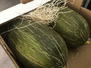 Hello! I offer wholesale of fruit and vegetables from