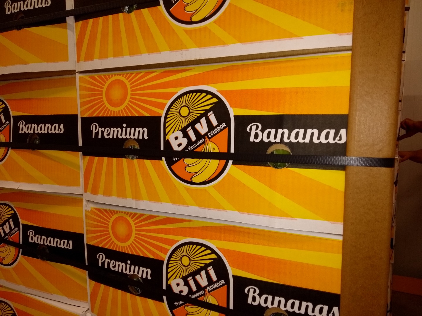 Sales engros depozito verona imported direct from Costa Rica, Ecuador
