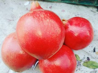 We are the supplier of fresh pomogranates from India