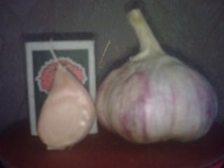 When selling planted garlic for planting, there is a