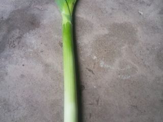 Lincoln leek for sale, Italian trays, etc. Large quantity.