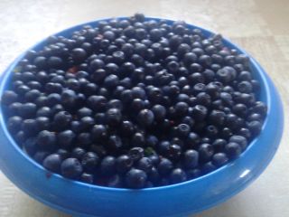 The Forest Berry is very tasty.