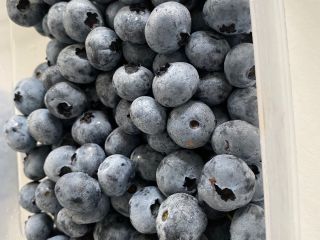 I sell blueberries grown in the Arges area (Romania).