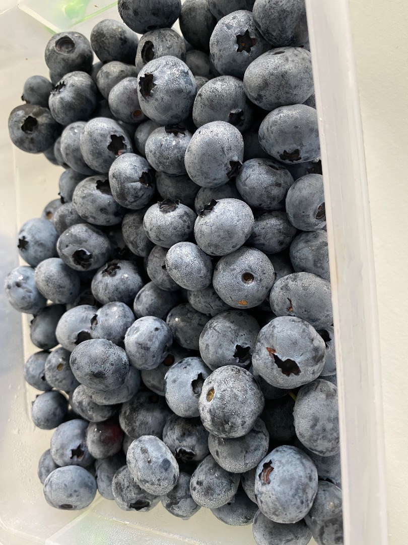 I sell blueberries grown in the Arges area (Romania)