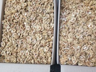 I will sell a walnut shelled I also sell